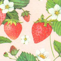 Strawberries on Pink Italian Paper ~ Kartos Italy